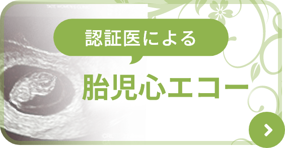 認証医による胎児心エコー
